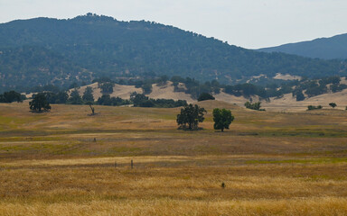 Santa Lucia Mountains Foothills, Santa Margarita