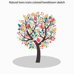 Natural trees icons colored handdrawn sketch