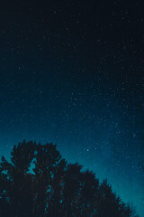Fototapeta na wymiar Starry Night