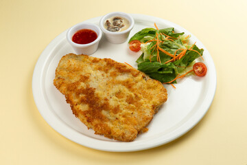 Turkey schnitzel and salad in a plate on a light background.