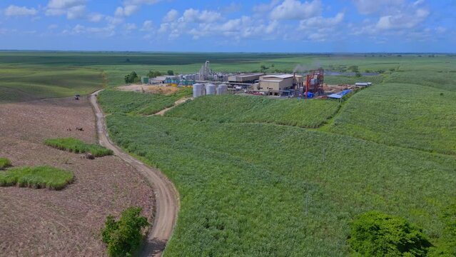 aerial drone view of the Barcelo rum factory in San Pedro De Macoris, Dominican Republic. Vineyard. Agricultural land in summer. green nature. 4K videos.