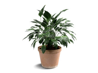 Fototapeta na wymiar 3d render green plant in a clay pot on a white background