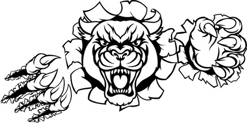 Black Panther Tiger Background Breakthrough