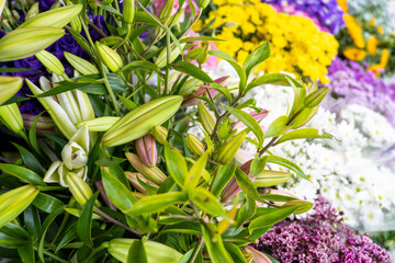 Close-up of flowers at the flower seller on the street