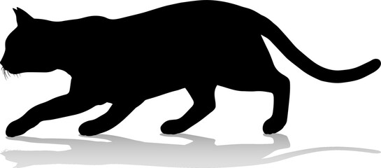 Silhouette Cat Pet Animal