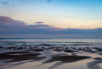 sunrise on the beach
