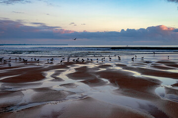 sunrise on the beach