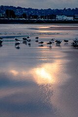 sunrise on the beach