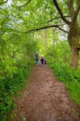 Obraz premium Woman enjoying mindfulness on dog walk and in a meadow of flowers and grass.