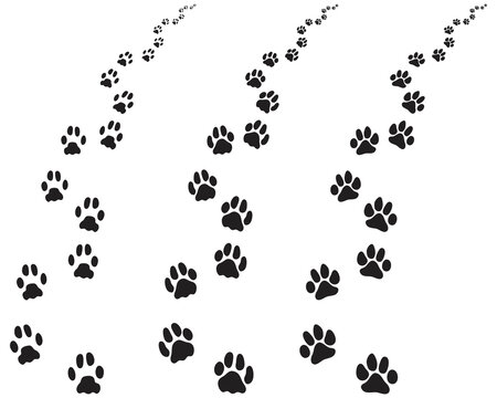 Black footprints of dogs on a white background, turn left or right