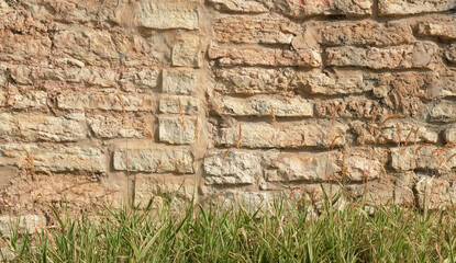 Texture of beige stone wall with Dry flowering grass, cereals. Smooth, cracked surface. Old castle wall of stone different shape. Pattern with neutral colors. Minimal, stylish, trend concept. 