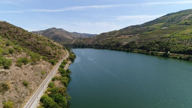 Breathtaking Nature Landscape. Douro Valley Vineyards Portugal Aerial View