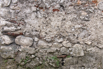 Closeup old wall chipped plaster growing weeds