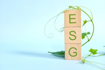 Sustainable and responsible business and ESG or Environmental Social Governance concept. ESG...