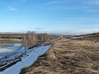 The bank of a small river in early spring