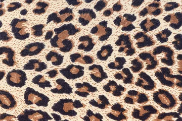 Tuinposter Texture leopard skin pattern wool rug background © Ratchapon