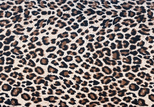 Texture leopard skin pattern wool rug background