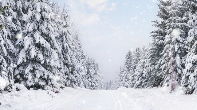  A snowy walk road in the mountains. Beautiful snowy landscape