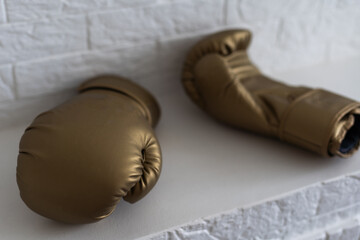 boxing gloves on white wall