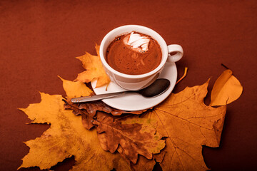Autumn composition of a cup of cocoa with marshmallow