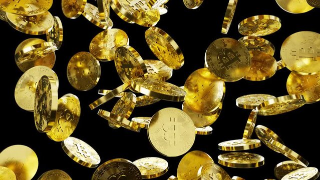 A lot of bitcoin crypto currency gold coins falling loop animation isolated Alpha. Coin. Blockchain technology. Bitcoin mining. Crypto. Digital currency. Decentralized. Stock market. Coin market.
