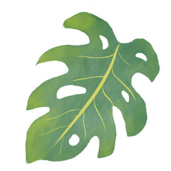 Monstera Icon