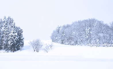 Winter scenery in the countryside of Japan.  日本の田舎の冬景色　富山県南砺市
