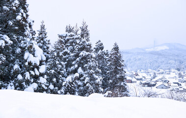 Winter scenery in the countryside of Japan.  日本の田舎の冬景色　　富山県南砺市