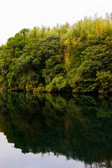 湖と林が隣接する風景