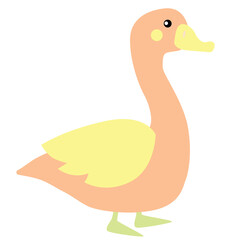 farm animal illustration