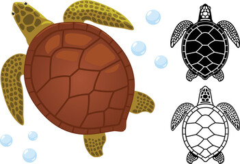 Vector illustration of sea turtle, sea turtle black and white symbol, icon, isolated on white background