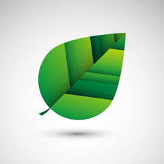 Fototapeta Zielony liść. Logo wektor. obraz