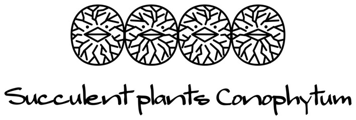 多肉植物 コノフィツム キャラクター イラスト ベクター