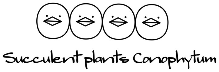 多肉植物 コノフィツム キャラクター イラスト ベクター