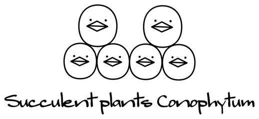 多肉植物 コノフィツム キャラクター イラスト ベクター