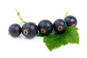 Blackcurrant with green leaves on a white background, organic berries.
