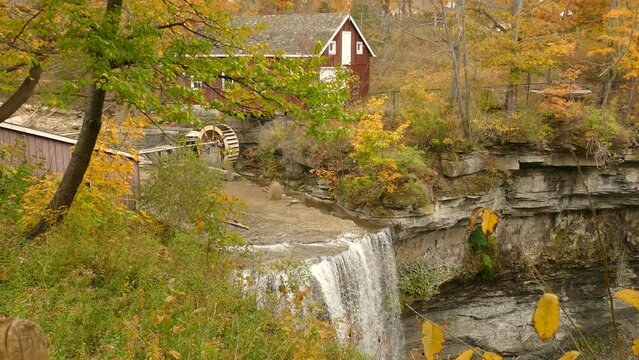 A beautiful fast flowing waterfall with a remote country farmhouse in the background surrounded by the vibrant golden colors of autumn as the environment and vegetation changes during the fall