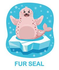 cartoon fur seal, seal on ice floe, blue background. Cards for learning children