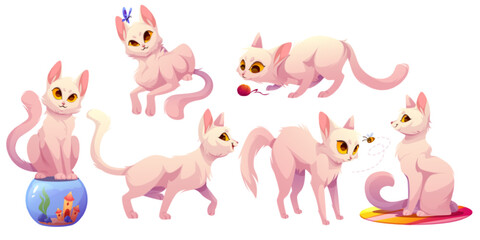 Set of funny white cats cartoon characters, adorable home pets. Cute kittens playing with clew, catch butterfly or bee, sit on aquarium. Naughty feline animal lifestyle, petcare, Vector illustration