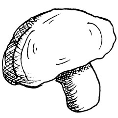 Mushroom