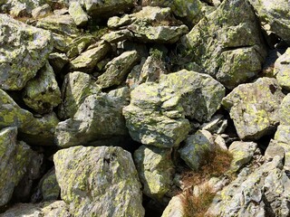 stone wall with moss