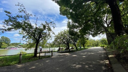 Fototapeta premium Beautiful scenery of people resting at the bench beside the pond of Ueno “Shinobazu” pond, year around 2022 