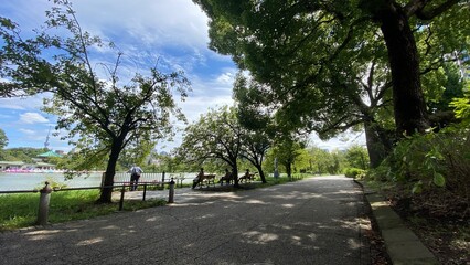  Beautiful scenery of people resting at the bench beside the pond of Ueno “Shinobazu” pond, year around 2022
