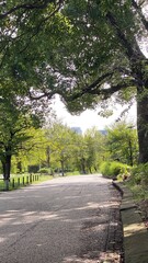 Obraz premium Empty sidewalk at Shinobazu pond of Ueno, the urban resting spot in the downtown Tokyo year around 2022