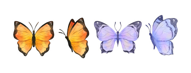 Colorful butterflies watercolor isolated on white background. Purple, blue, gray or silver and cream pink butterfly. Spring animal vector illustration - obrazy, fototapety, plakaty