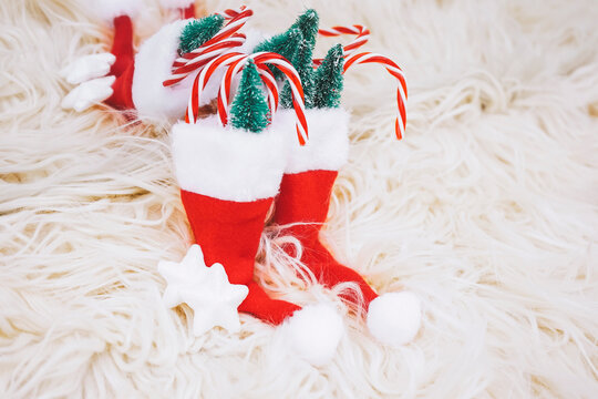 Colorful christmas images with santas hat, christmas trees and stars