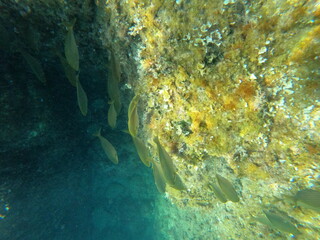 Calella de Palafrugell, Gerona, Catalunya, España
