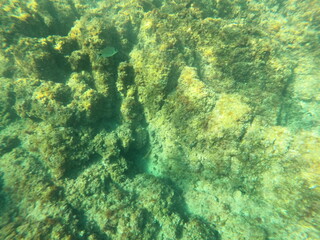 Calella de Palafrugell, Gerona, Catalunya, España
