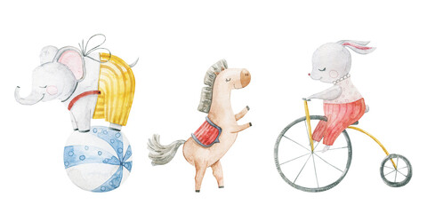 cute childish watercolor illustration with funny characters, baby animals in circus. Kids design, art, decor. Hand painted illustration. Animals juggle on bicycles