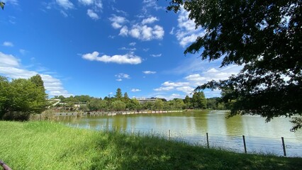 Calm and peaceful pond in Ueno, “Shinobazu” pond, with fresh grass and moss green waters with duck boats and living animals, the urban city scene around year 2022